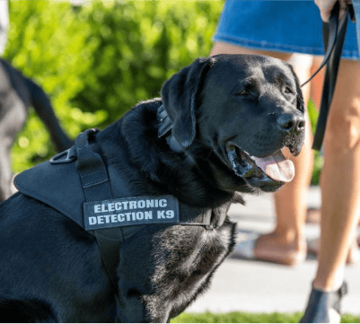 Global ESD K9 Program