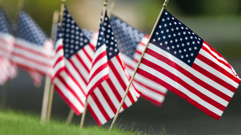 Many U.S. flags staggered in a green grass area